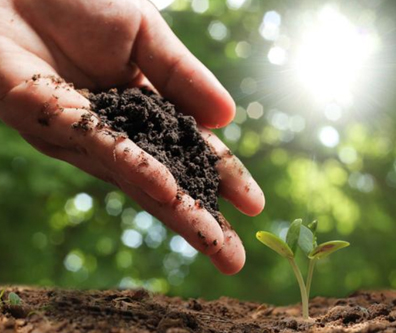 土壤治理